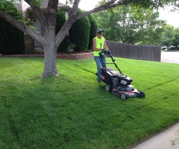 Lawn Service-Houston TX Landscape Designs & Outdoor Living Areas-We offer Landscape Design, Outdoor Patios & Pergolas, Outdoor Living Spaces, Stonescapes, Residential & Commercial Landscaping, Irrigation Installation & Repairs, Drainage Systems, Landscape Lighting, Outdoor Living Spaces, Tree Service, Lawn Service, and more.