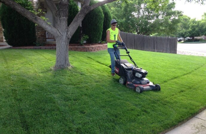 Lawn Service-Houston TX Landscape Designs & Outdoor Living Areas-We offer Landscape Design, Outdoor Patios & Pergolas, Outdoor Living Spaces, Stonescapes, Residential & Commercial Landscaping, Irrigation Installation & Repairs, Drainage Systems, Landscape Lighting, Outdoor Living Spaces, Tree Service, Lawn Service, and more.