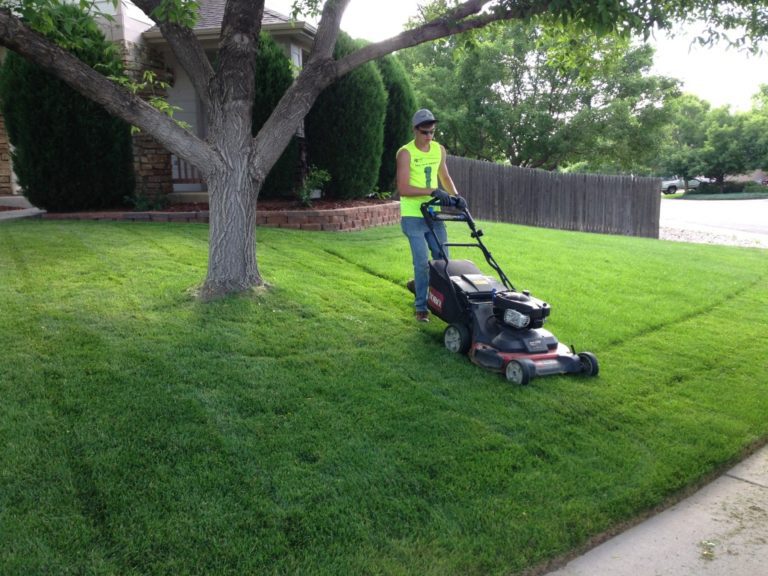 Lawn Service Houston TX Landscape Designs & Outdoor Living Areas